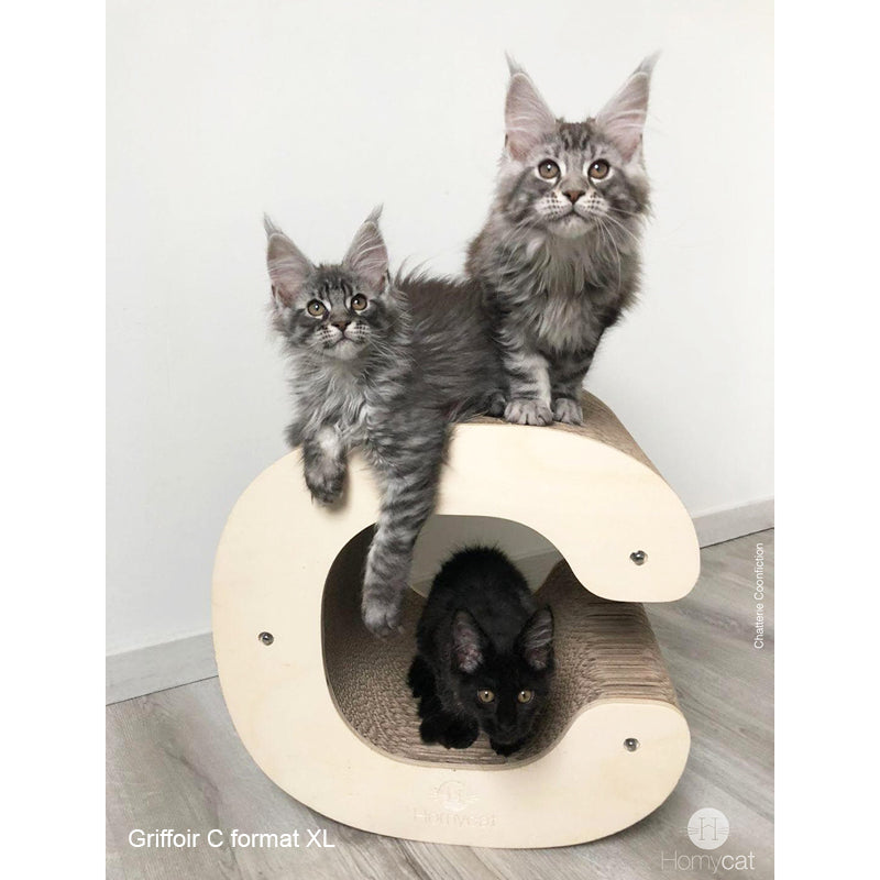 3-mainecoon-mingon-griffoir-lettre-c-chat-cabane-xxl-zone-de-repos-haut-de-gamme-homycat