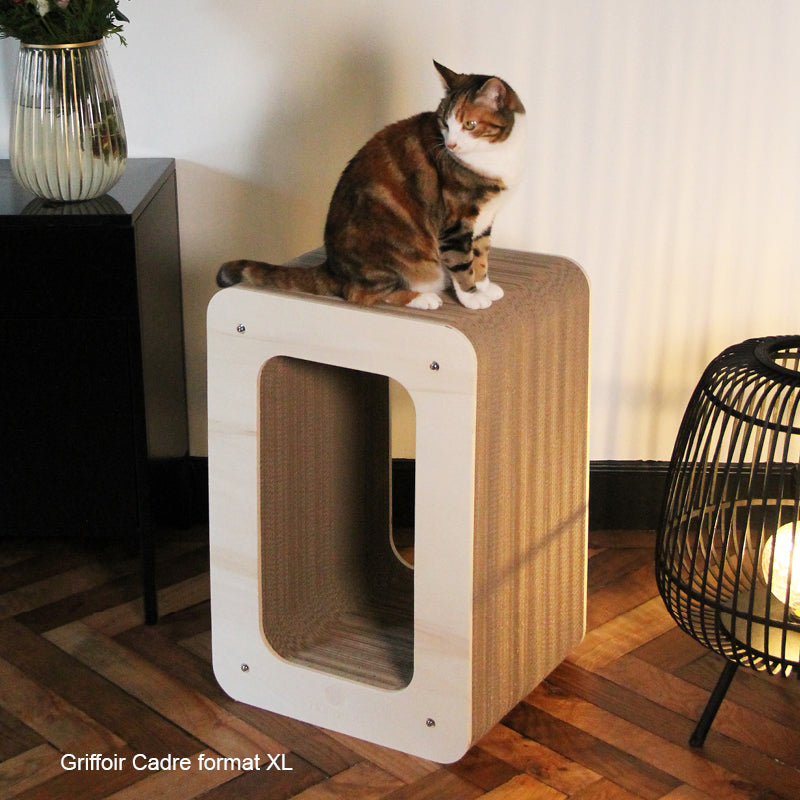 chat-cadre-perchoir-arbre-a-chat-appartement-maison