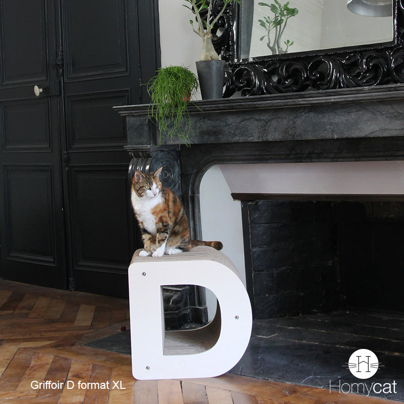 lettre-d-maison-griffoir-chat-carton-bois-robuste-meuble-appartement-homycat