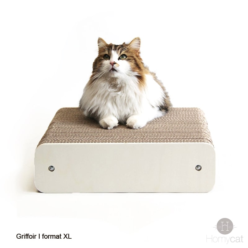 chat-griffe-grattoire-chat-petit-discret-rechargeable