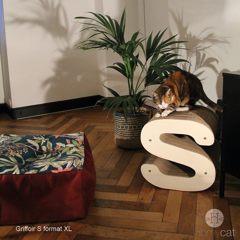 lettre-S-chat-format-xl-couchage-chat-salon