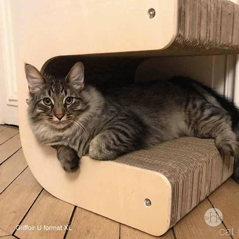 Pack de 3 Lettres Griffoir XL pour chat au choix