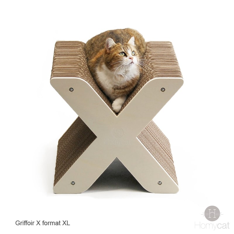 siege-chat-lettre-x-originale-tendance-griffoir-carton