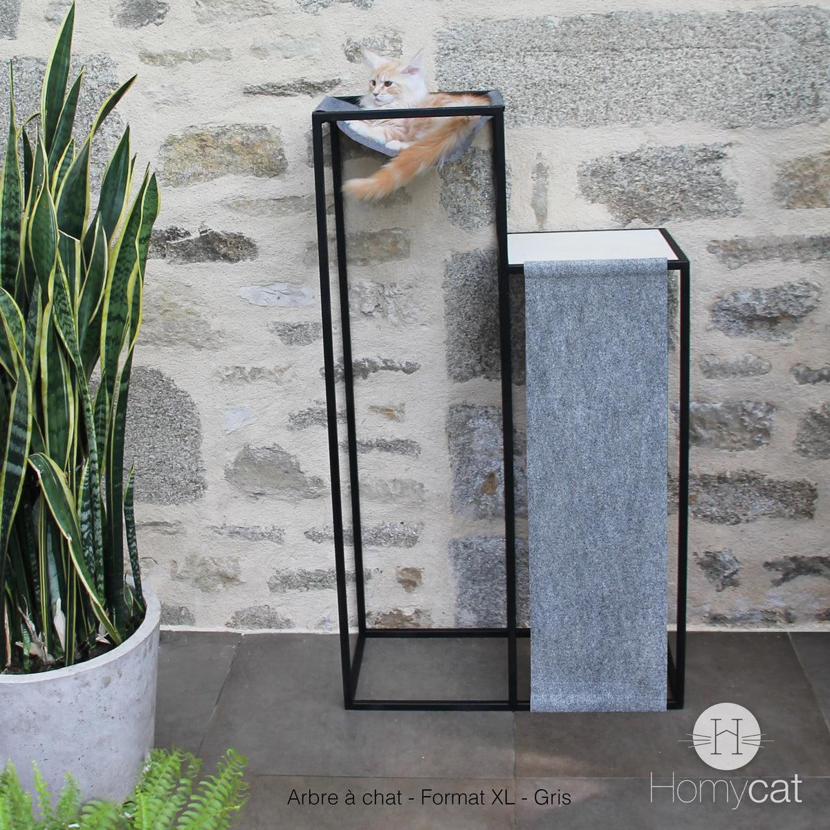 Photo arbre à chat Elégance model XL gris avec griffoire de Homycat