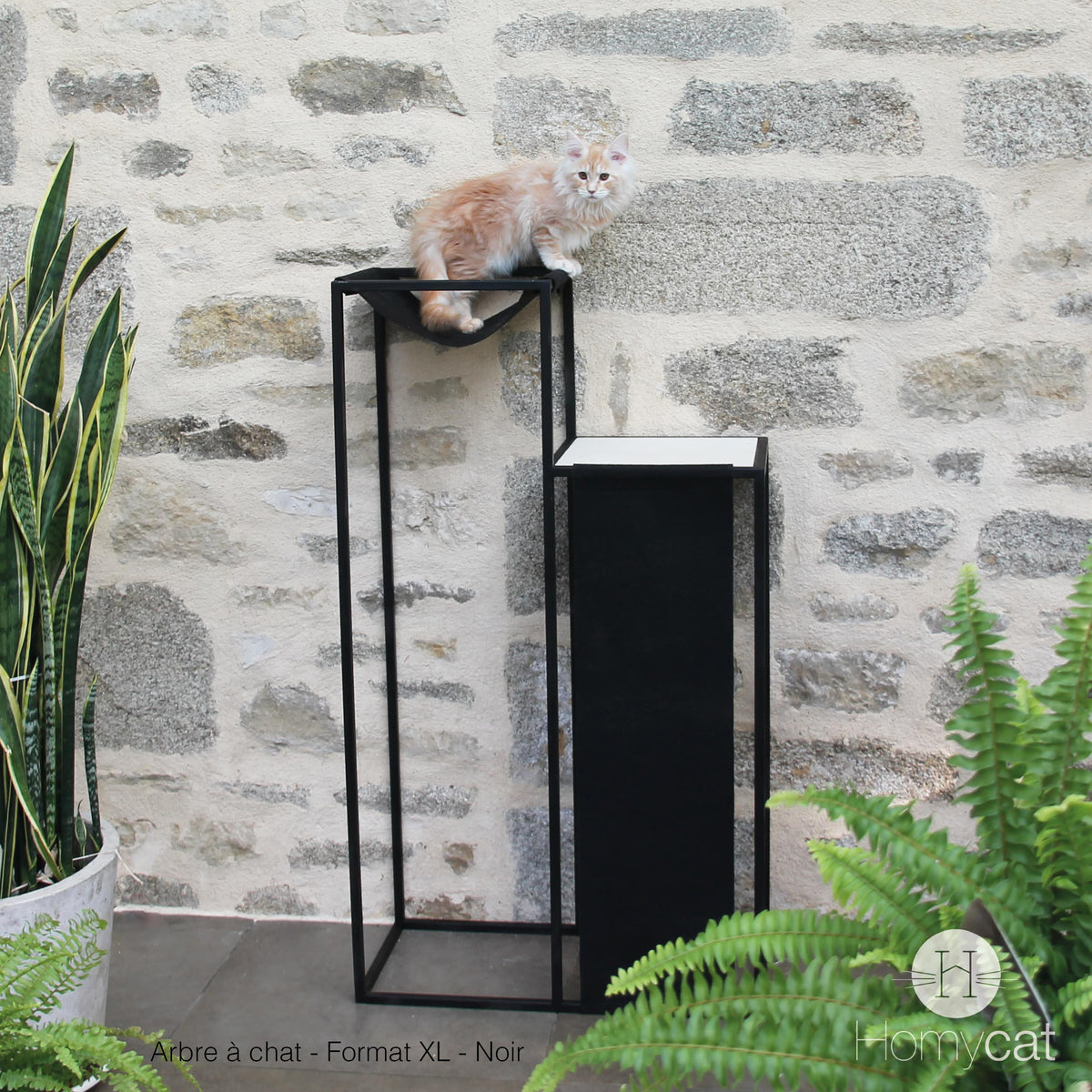 Arbre à chat Elégance XL noir avec griffoir de Homycat