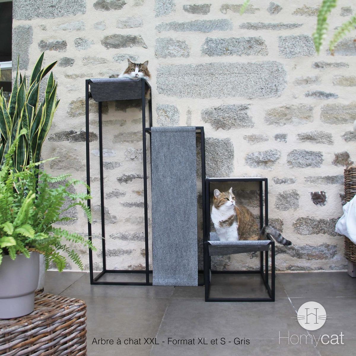 Arbre à chat Élégance XXL gris de chez Homycat, deux chats sont dessus