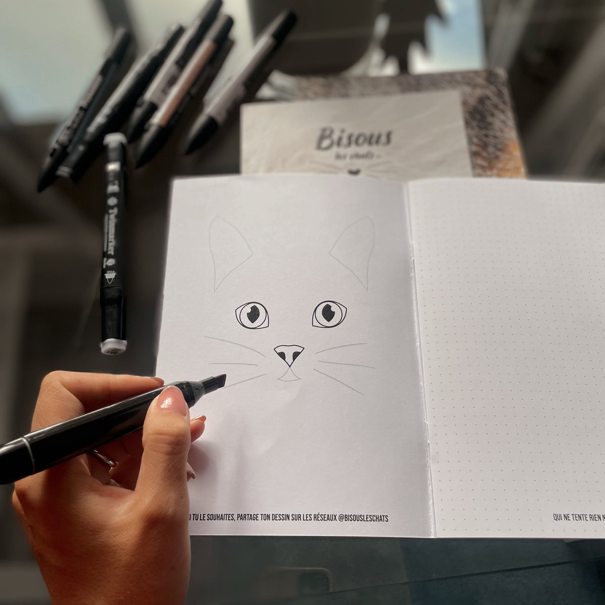 Exemple dessins dans le Carnet au poil pelage chat bengal de Homycat