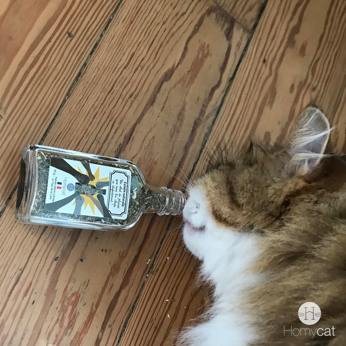 Pack découverte - 1 Griffoir + 1 fiole de cataire bio + 1 pack d&#39;herbe à chat + 1 jouet berlingot