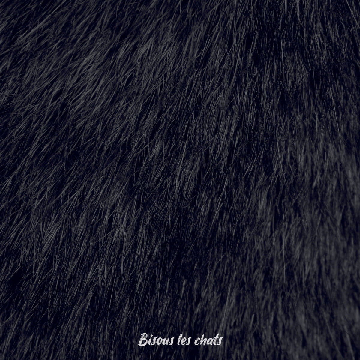 Je prends les 13 pelages des Carnets au poil - Bisous les chats