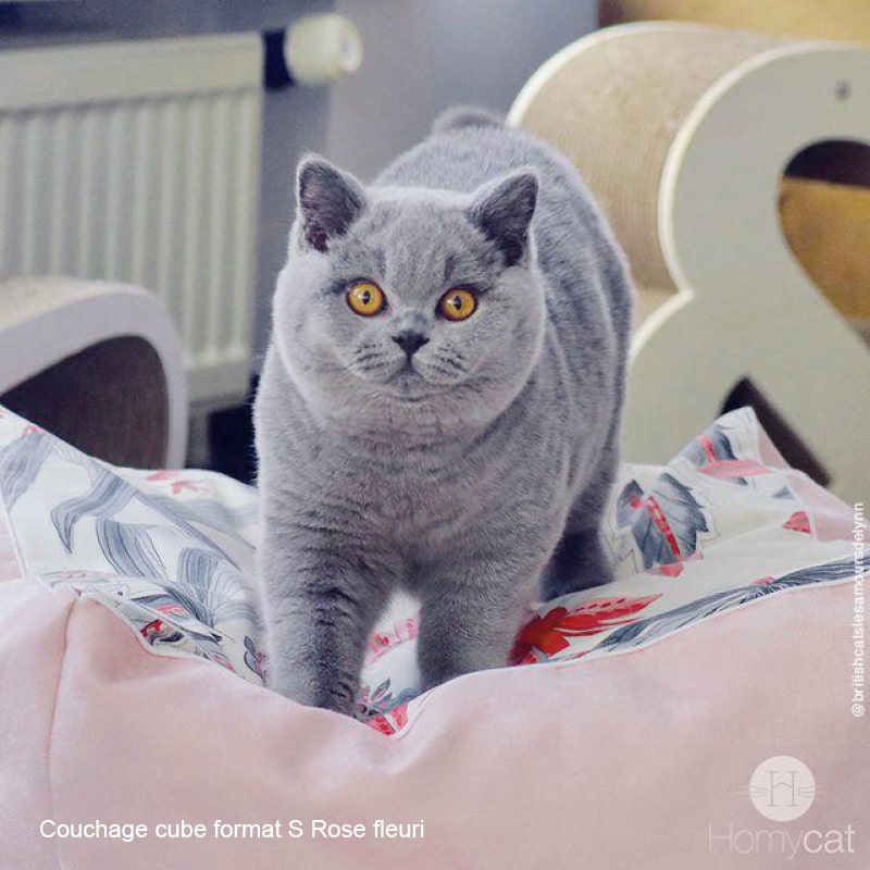 couchage-format-s-et-xl-homycat-rose-fleuri-fleur-ambiance-douce-classique-confort-qualité-france-homycat