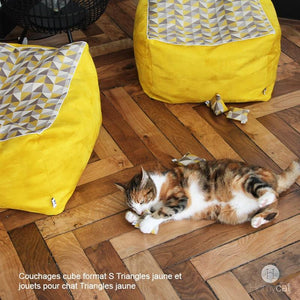 Chat jouant avec des berlingots remplie de cataire a coté de ses cube Triangles jaune de chez Homycat