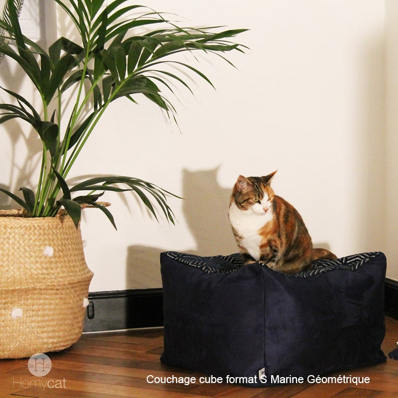 couchage-chat-format-s-xl-marine-géométique-homycat-style-art-deco