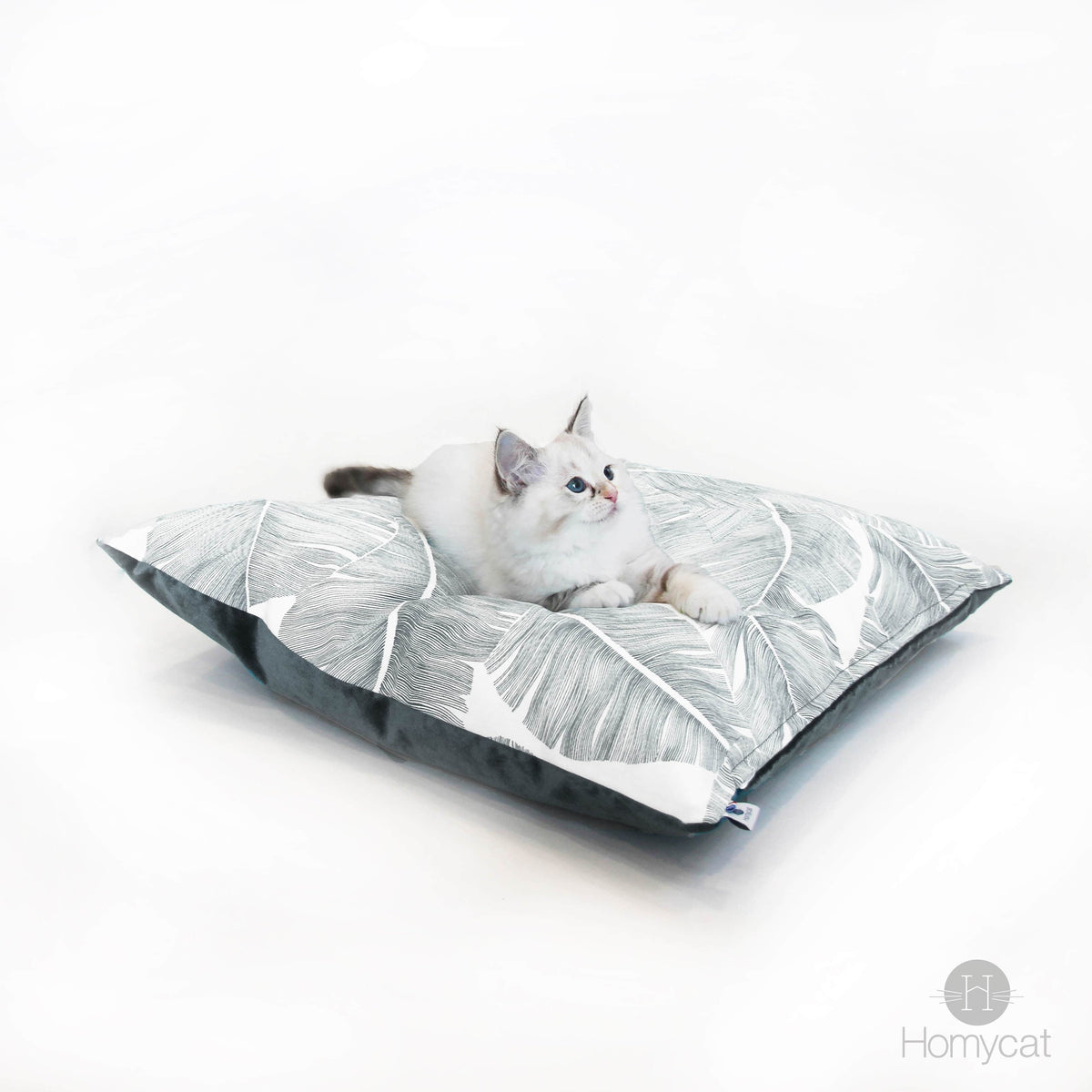 Chaton sur un coussin XL plume gris de chez Homycat