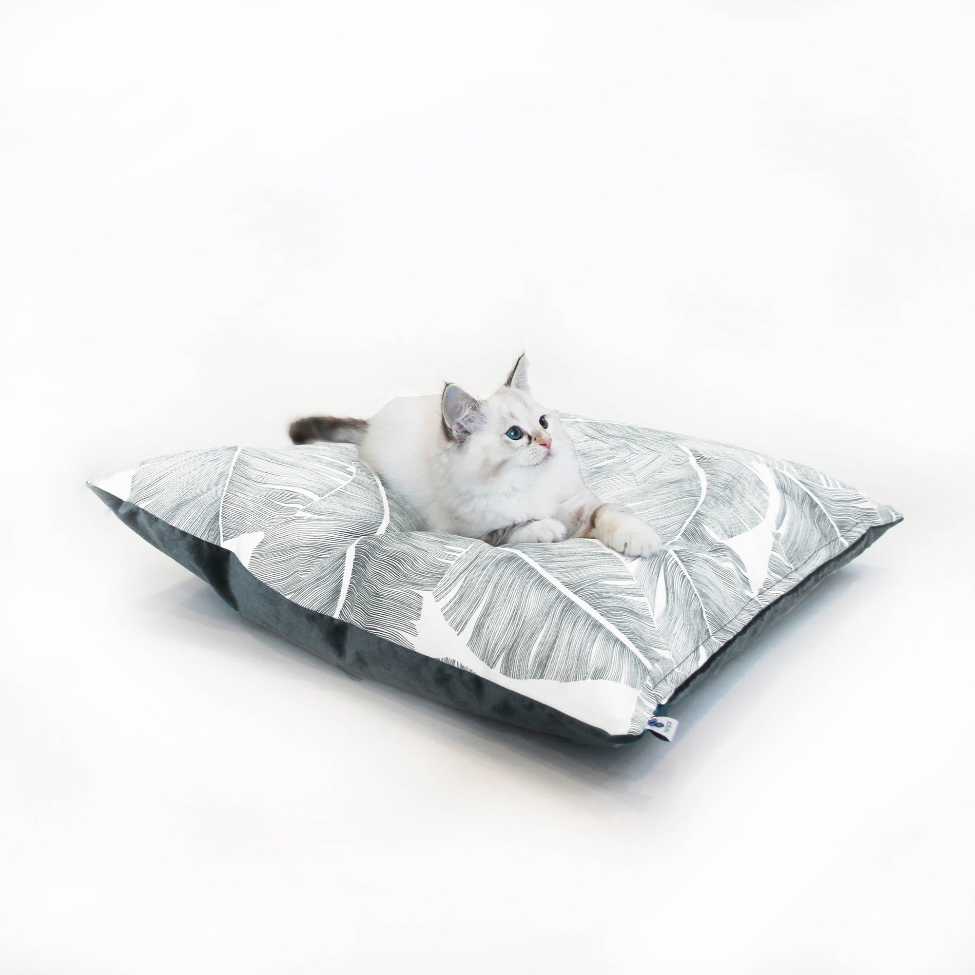 Coussins XL - Couchage chat stylé