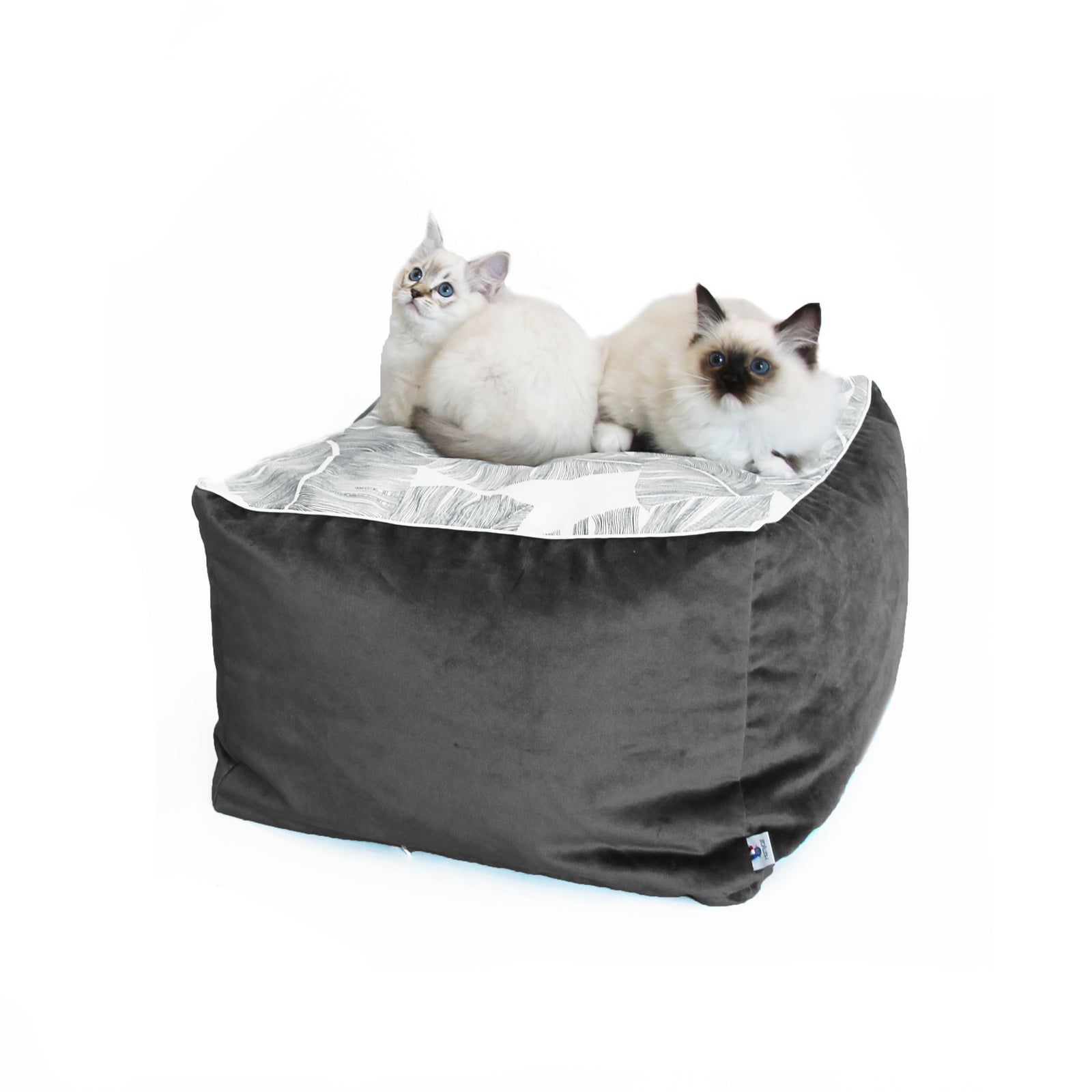 Cube Gris Plume - Couchage pouf chat design