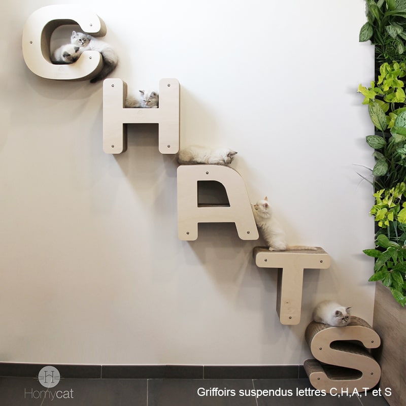 lettre-chat-parcours-C-H-A-T-S-chatons-ragdoll-griffoir-suspendre-mur-carton-homycat
