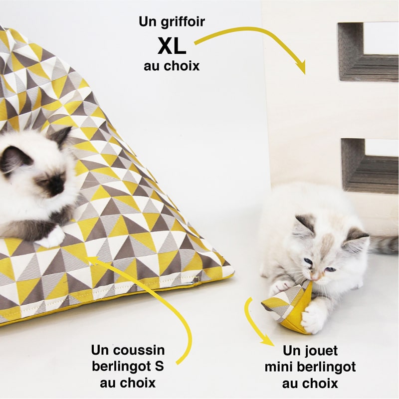 Kit chat(on) maxi XL : Lettre Griffoir format XL + Pouf Berlingot + Jouet