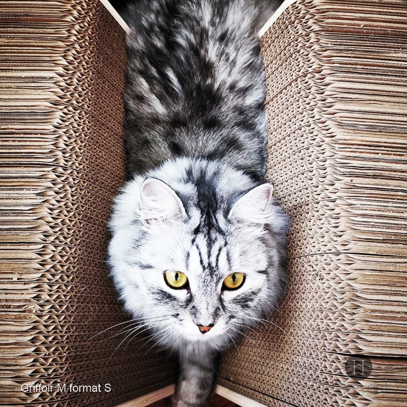 chat-dodo-zone-repo-griffe-cabane-multifonction-solide-durable-français-homycat