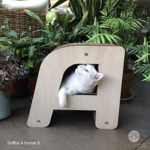 chat-blanc-lettre-A-jardin-nature-plante-vert-design-natural-homycat