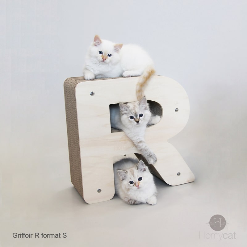 chatons-mignons-arbre-a-chat-griffoir-multifonction-forme-lettre-R
