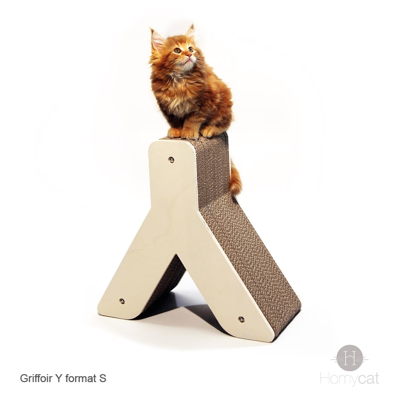 perchoir-lettre-Y-chaton-roux-mainecoon-griffoir-qualité-france-homycat