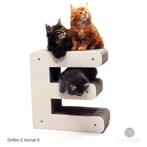 chatons-mainecoon-griffoir-chat-homycat-solide-famille-relax-durable-france