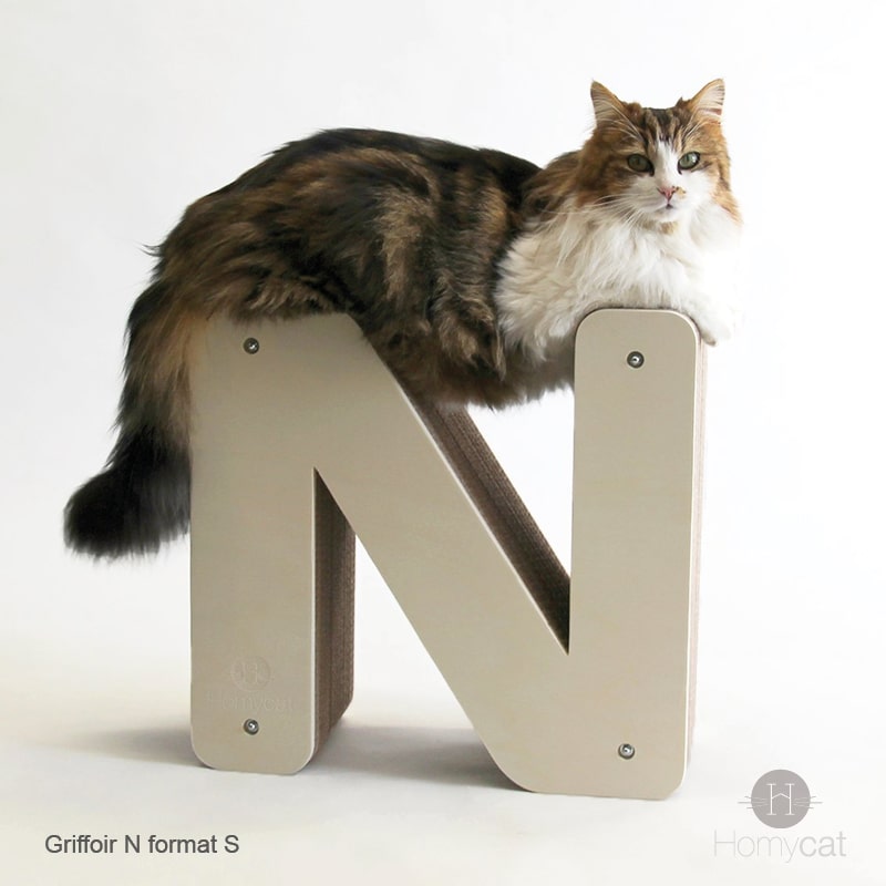 chat-perché-lettre-N-griffoir-multifonction-original-tendance