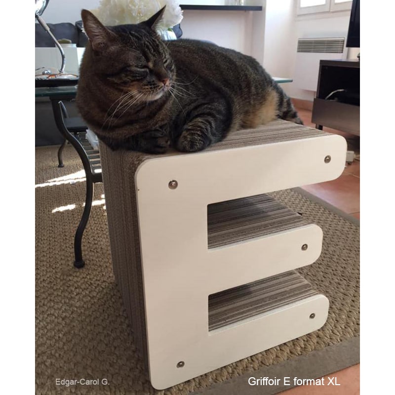 chat-decoration-intérieur-salon-xl-meuble-mobilier-lettre-a-poster-decoration-élégant-beau-homycat