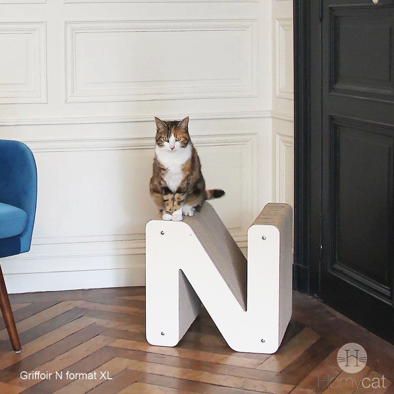 lettre-n-nala-design-griffoir-deco-appartement-chat-arbre-a-chat-homycat