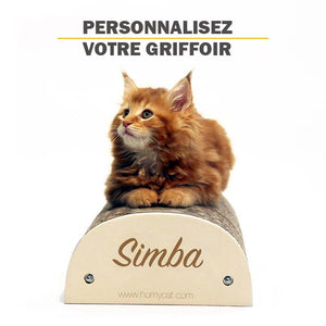 griffoir-personnalisé-pour-chats