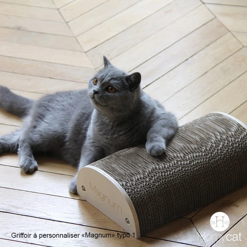griffoir-a-personnaliser-custom-chat-homycat-magnum