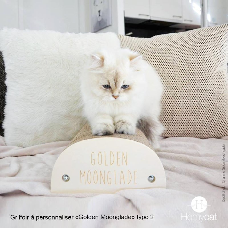 griffoir-a-personnaliser-custom-chat-homycat-chaton