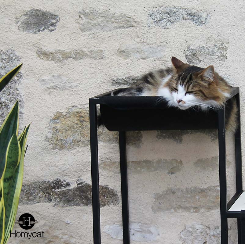 Hamac amovible pour arbre à chat Élégance
