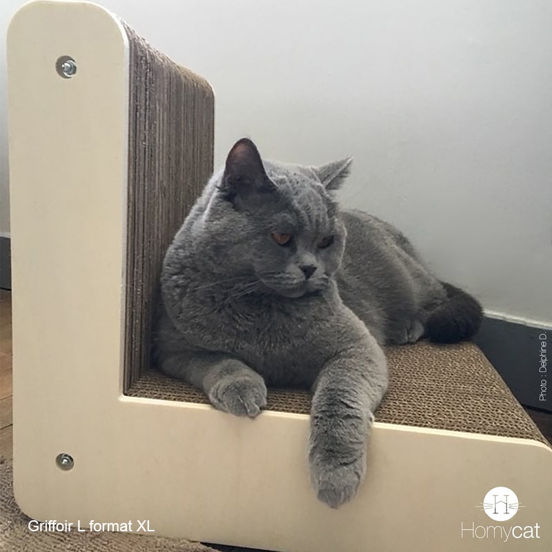 lettre-siege-griffoir-l-carton-bois-chat-gris-homycat