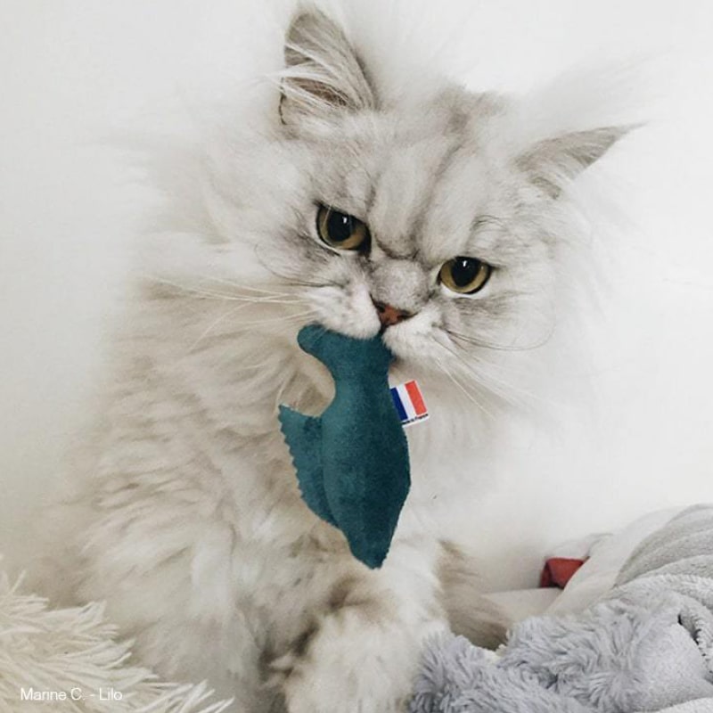 Poisson - Jouet pour chat - catnip