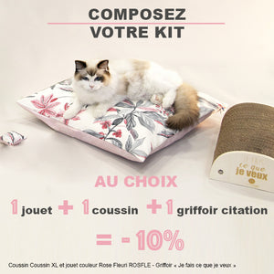 Kit chat(on) ou voyage : Griffoir humoristique + Couchage + Jouet