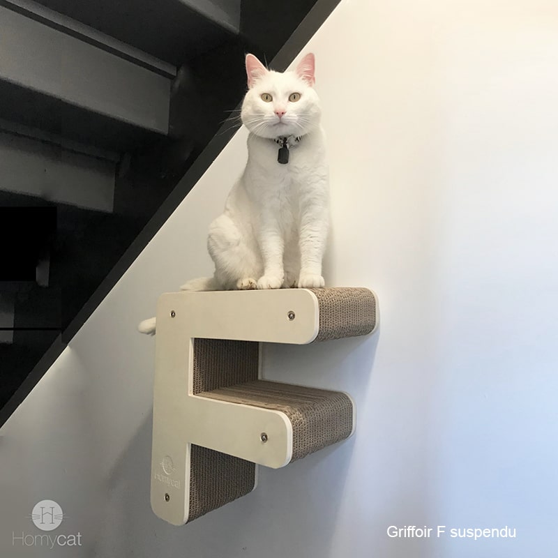 griffoir-lettre-f-parcours-mur-accrocher-suspendu-deco-design-robuste-solide-homycat