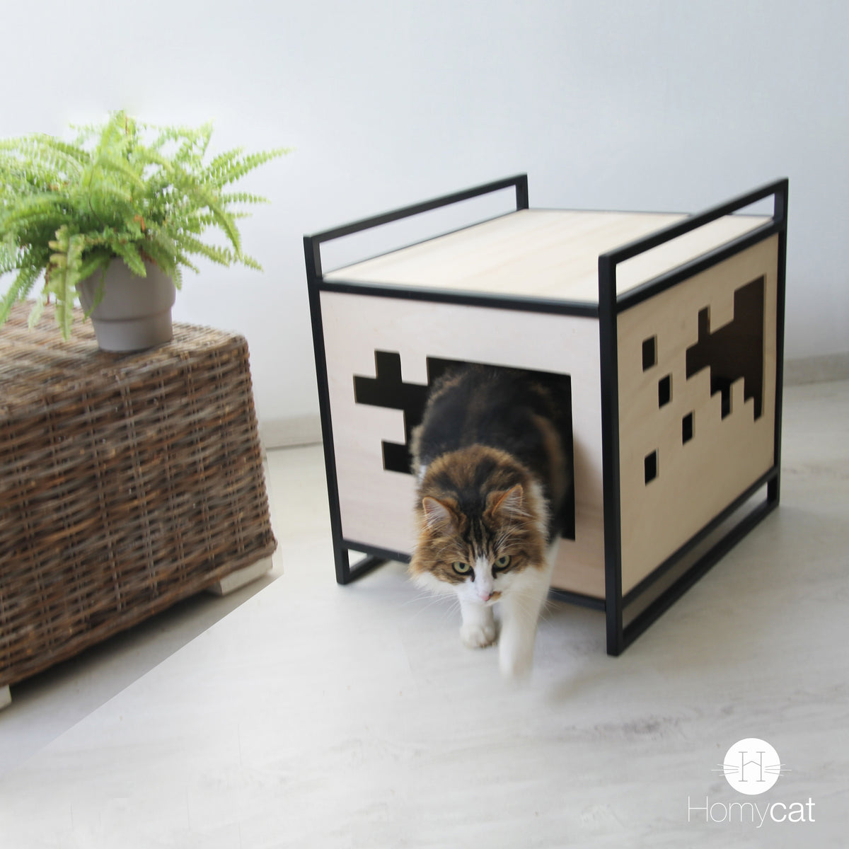 Maisons de toilette Design recommandée par les comportementalistes