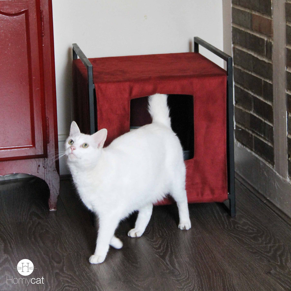 Maisons de toilette Design recommandée par les comportementalistes