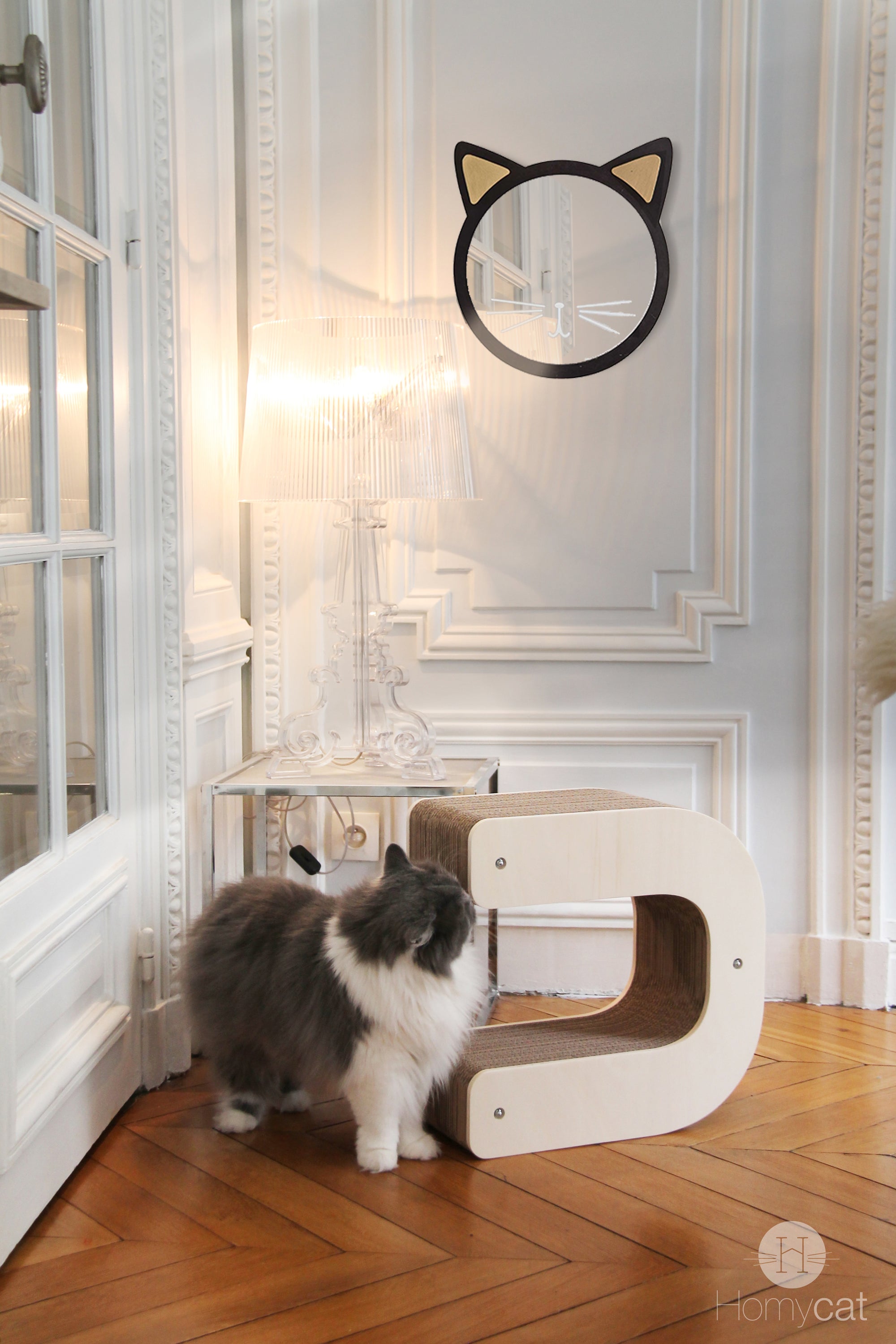 miroir-tete-de-chat-design-mignon-decoration-salon-plante-homycat