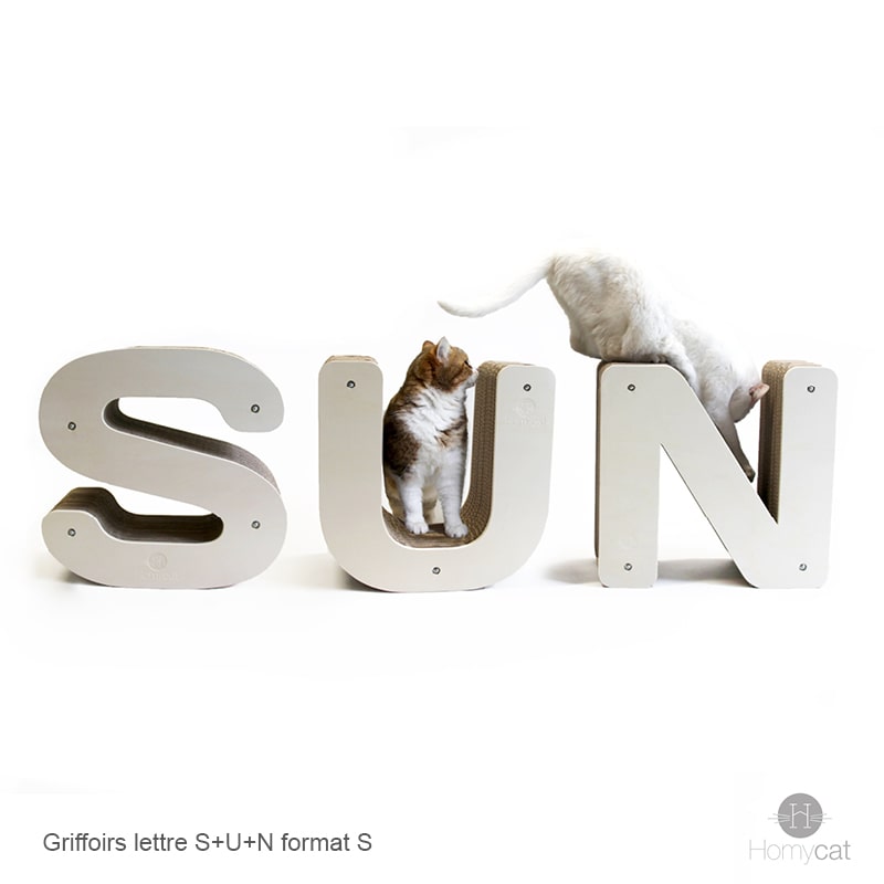 griffoir-sun-homycat-pack-design-deco-decoration-qualité-carton-