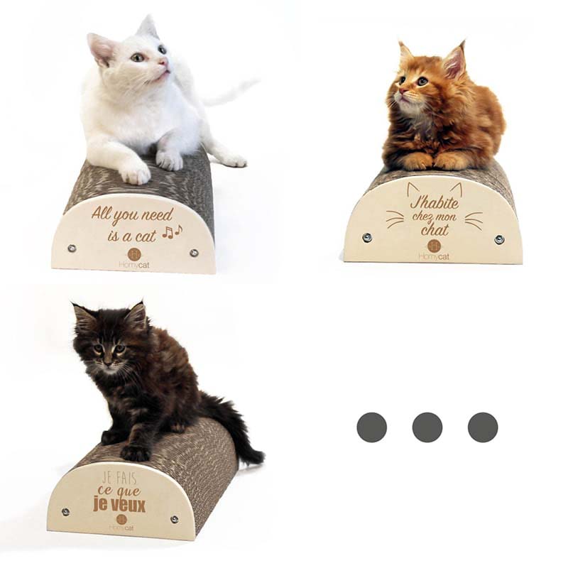 griffoir-drole-citation-demi-rond-chaton-mainecoon-petit-carton-rechargeable-homycat