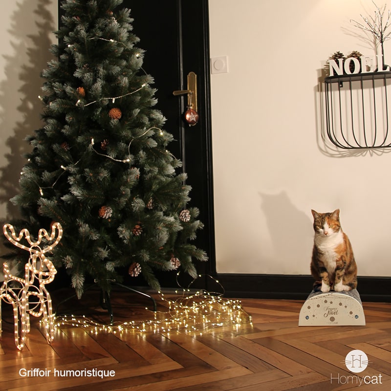 griffoir-pour-chat-citation-humour-drole-homycat-chaton-mingon-noel-sapin-joyeux