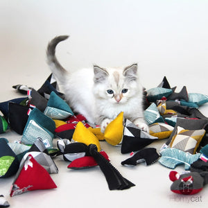 chaton-migon-blanc-jouets-chat-multicolor-couleur-qualité-garni-herbe-a-chat