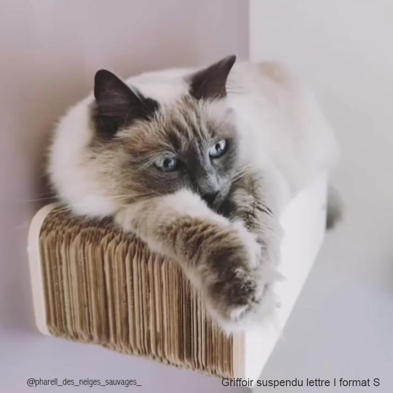 siberien-arbre-a-chat-suspendu-mur-hamac-griffoir-chat-carton-lettre-i